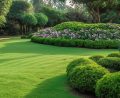 Artificial Turf For Lawns