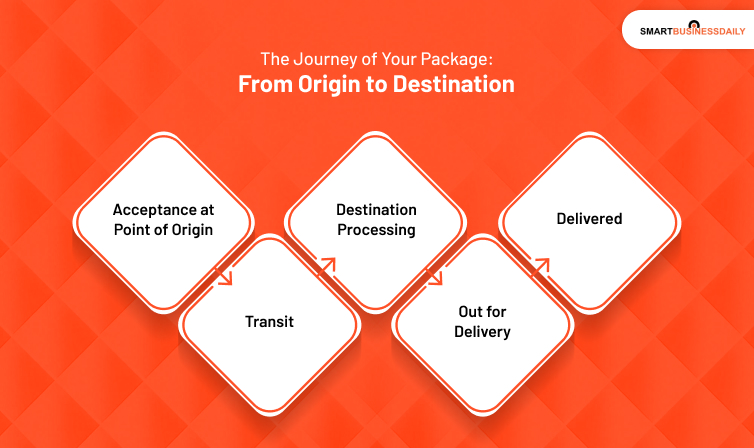 The Journey of Your Package_ From Origin to Destination