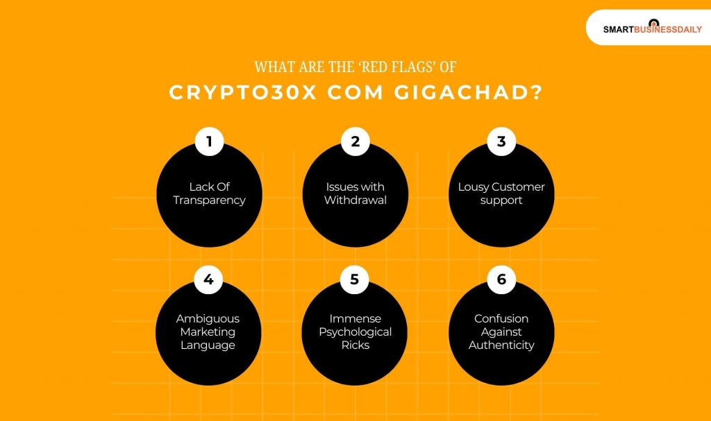 What Are The &lsquo;Red Flags&rsquo; Of Crypto30x Com Gigachad