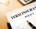 Term insurance online